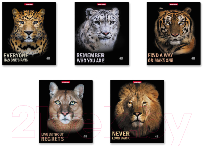 Изображение товара Тетрадь Erich Krause Strong And Brave / 54258 (48л)