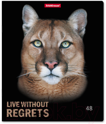 Изображение товара Тетрадь Erich Krause Strong And Brave / 54258 (48л)