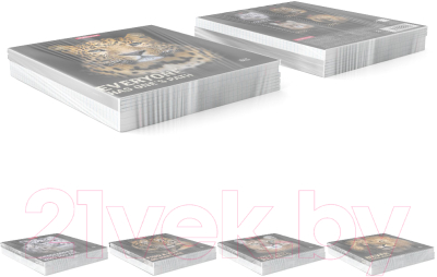 Изображение товара Тетрадь Erich Krause Strong And Brave / 54258 (48л)