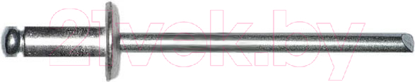 Заклепка Starfix SMP2-58332-50