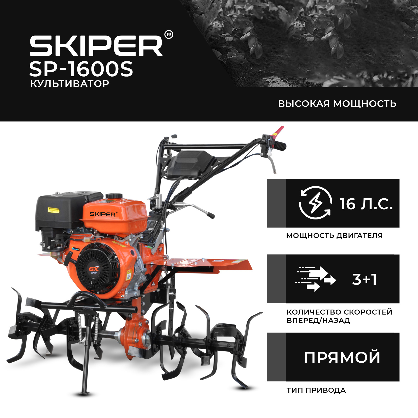 Мотокультиватор Skiper SP-1600S / SSP1600S (16 л.с., без ВОМ, 3+1, без колес)