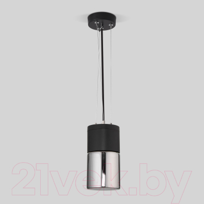 Светильник уличный Elektrostandard Roil 35125/H (черный/дымчатый)