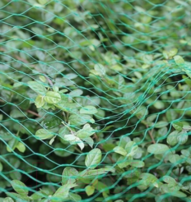 Защитная сетка для растений Чудесный Сад BN-088 (зеленый)