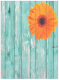 Набор текстиля для спальни JoyArty Цветок на заборе / bcsl_20970 (220x235) - 