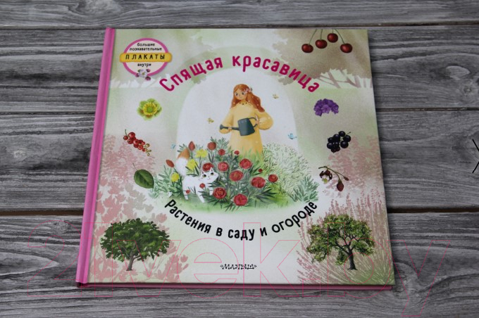 Художественная книга АСТ Спящая красавица (Немцова Т., Секанинова Ш.) — фото 5