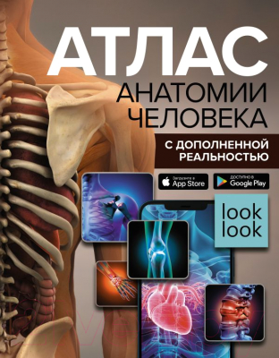 Книга АСТ Атлас анатомии человека с дополненной реальностью  (Спектор А.А.)