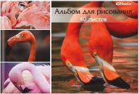 

Альбом для рисования BALU, Фламинго / BL-4071