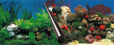 Декорация для аквариума EBI Stone & Coral 241/108857