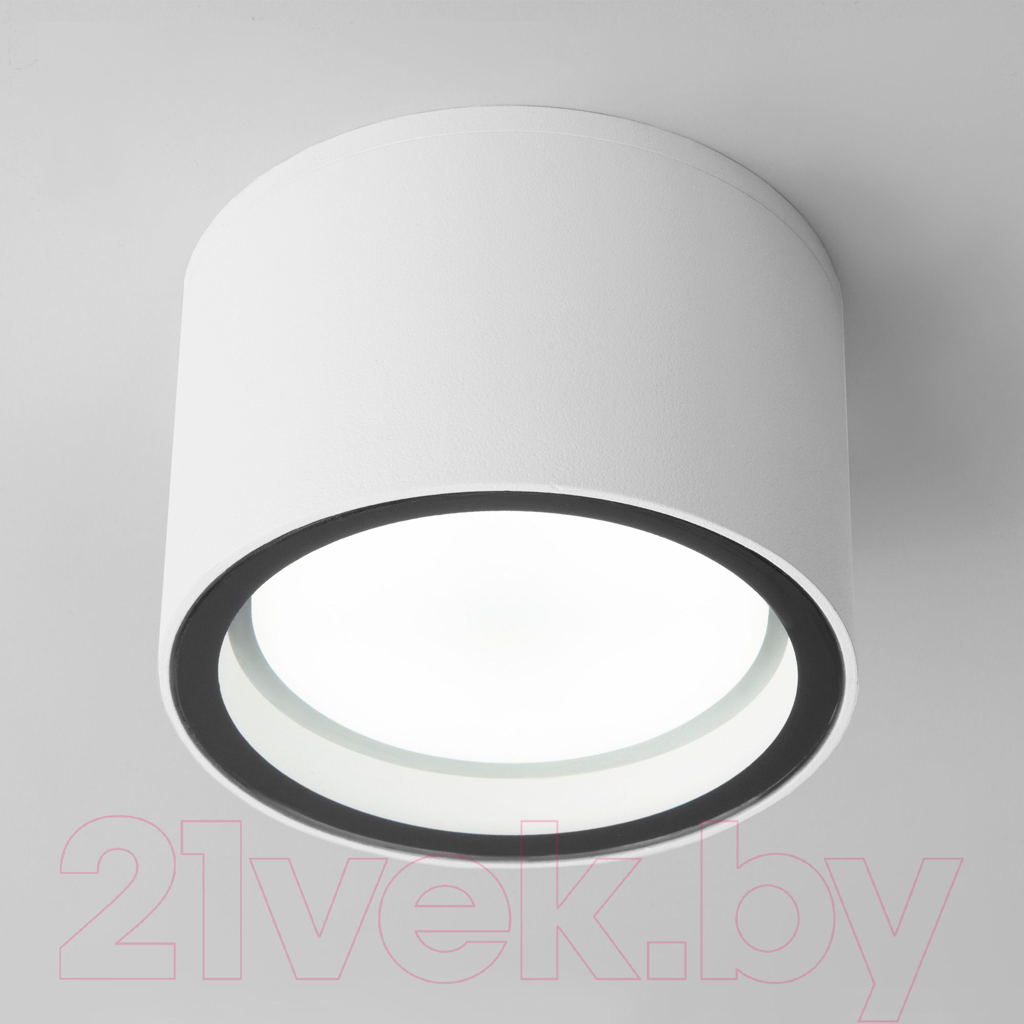 Светильник уличный Elektrostandard Light 26231 35144/H (белый)