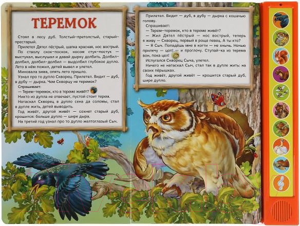 Музыкальная книга Умка Лесные сказки 10 кнопок / 9785506035237 (Бианки В.) — фото 2