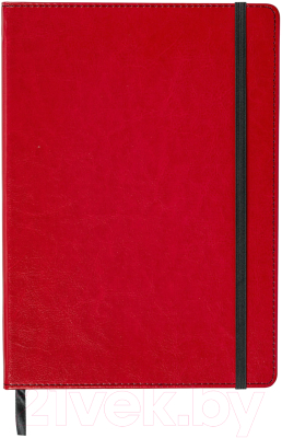 Записная книжка Brauberg Office / 113310 (красный)