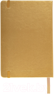 Записная книжка Brauberg Metropolis Special / 113333 (золотистый)
