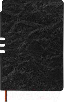 Записная книжка Brauberg Nebraska / 113411 (черный)