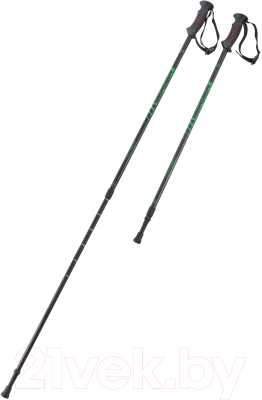 Палки для скандинавской ходьбы Berger Oxygen 77-135 (черный/зеленый)