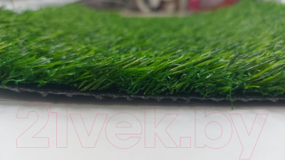 Искусственная трава Greenery Lawn SALG-2516 25мм (2х1.5м)