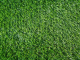 Искусственная трава Greenery Lawn SALG-2516 25мм (2х1м) - 