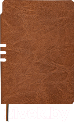 Записная книжка Brauberg Nebraska / 113412 (коричневый)