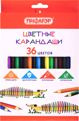 Набор цветных карандашей Пифагор Веселая такса / 181809 (36цв)