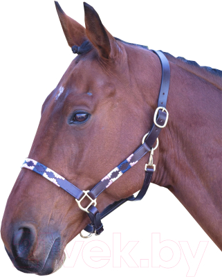 Недоуздок для лошади Shires Polo COB / 4160/P/N/N/COB (розовый/синий)