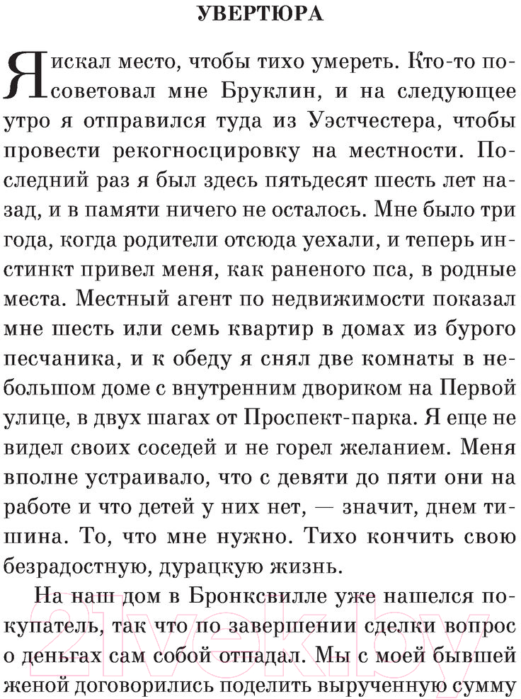 Художественная книга Эксмо Бруклинские глупости (Остер П.) — фото 6