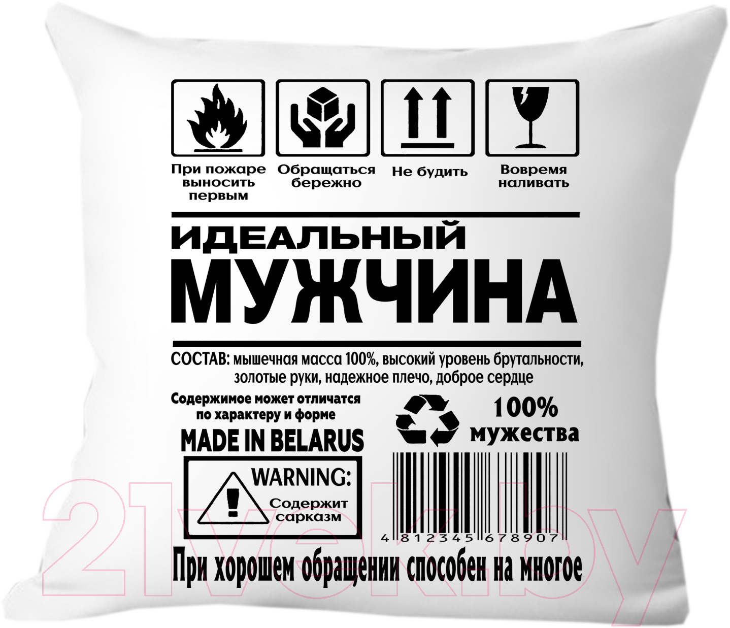 Подушка декоративная Print Style 40x40hod24