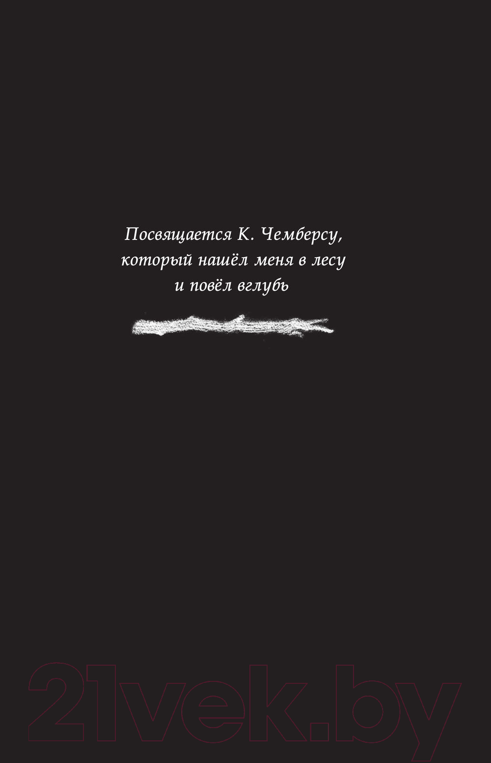Художественная книга АСТ Страшные истории для маленьких лисят. Большой город (Хайдикер К.) — фото 6