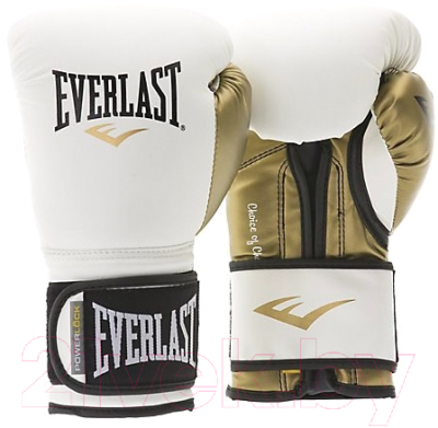 Боксерские перчатки Everlast D105 12oz (белый)