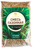 Семена газонной травы Зеленая Русь На подсев (150гр) - 