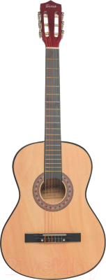 Акустическая гитара Terris TC-3801A NA