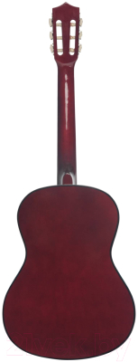 Акустическая гитара Terris TC-3801A NA