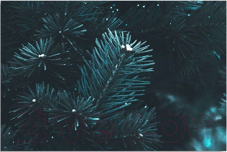 Картина Citydecor 1.88 (90x60)