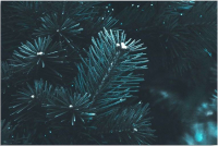 

Картина Citydecor, 1.88