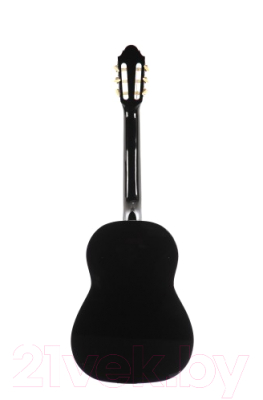 Акустическая гитара Fabio FAC-502 (черный)