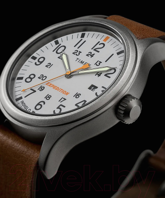 Часы наручные мужские Timex TW2V07600