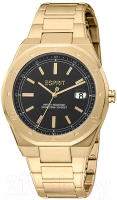 Часы наручные мужские Esprit ES1G305M0045