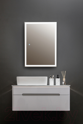 Шкаф с зеркалом для ванной Silver Mirrors Киото Flip 60 / LED-00002474