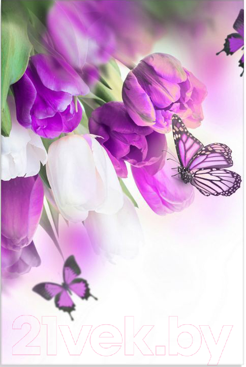 Картина Citydecor 1.112 (90x60)