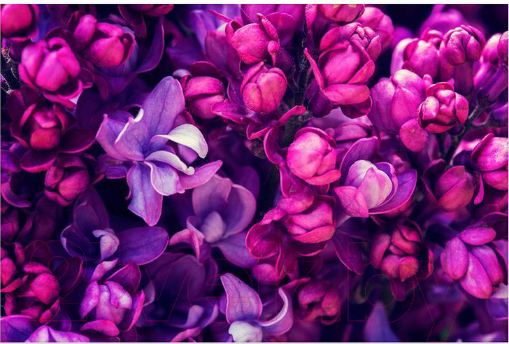 Картина Citydecor 1.122 (90x60)