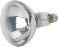 Лампа ЭРА ИКЗ 220-250 R127 / Б0055440 - 