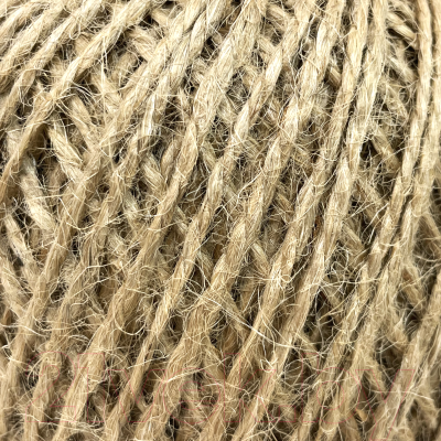 Изображение товара Шпагат хозяйственный Truenergy 12379