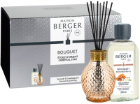 

Ароматический набор Maison Berger Paris, Восточная звезда / 6687