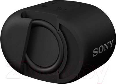 Портативная колонка Sony SRS-XB01 / SRSXB01B.RU2 (черный)