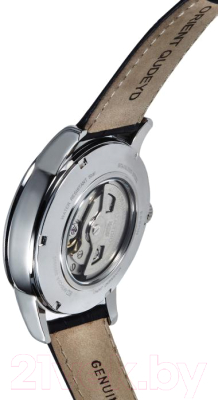Часы наручные мужские Orient RA-AK0010B
