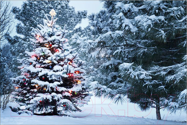 Картина Citydecor 1.155 (90x60) — фото 1