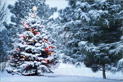 Картина Citydecor 1.155 (90x60) — фото 5