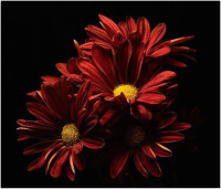 

Картина Citydecor, 2.72