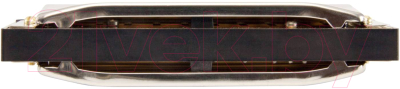 Набор губных гармошек Hohner Special 20 СGA / M5601XP