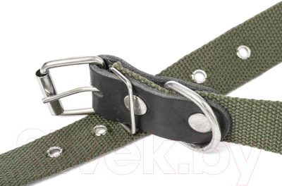 Изображение товара Ошейник Сима Брезент одинарный / 103027 (30мм, 40-55см)