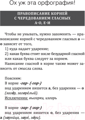 Учебное пособие АСТ Русский язык! Большой понятный самоучитель