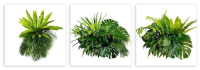 

Картина модульная Citydecor, 3.35